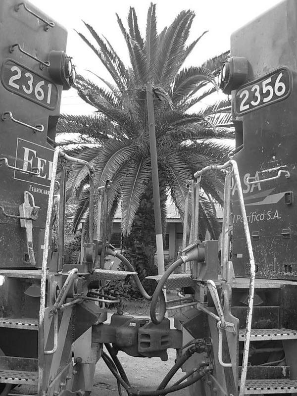 Foto de Llay Llay, Chile