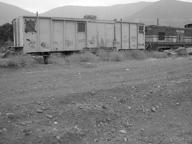 Foto de Llay Llay, Chile