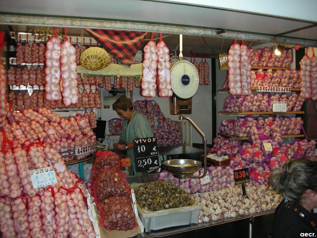 Foto de Zaragoza (Aragón), España