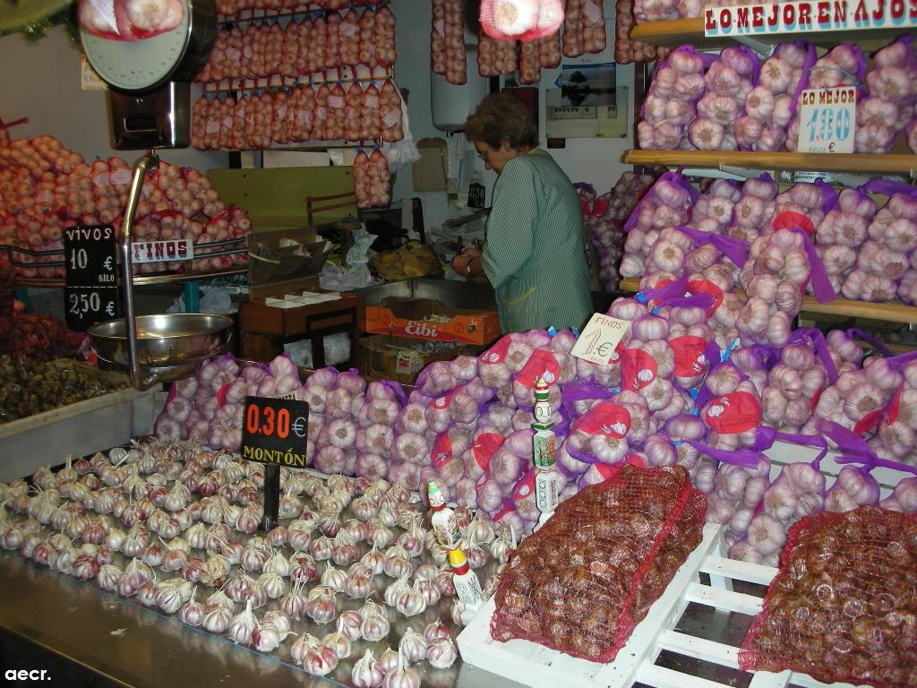 Foto de Zaragoza (Aragón), España