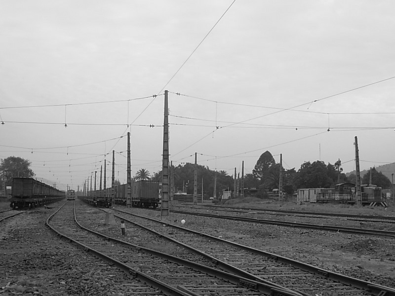 Foto de Llay Llay, Chile