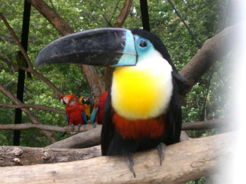 Foto de Valencia, Venezuela