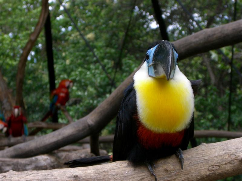 Foto de Valencia, Venezuela