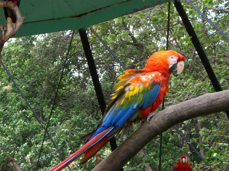 Foto de Valencia, Venezuela