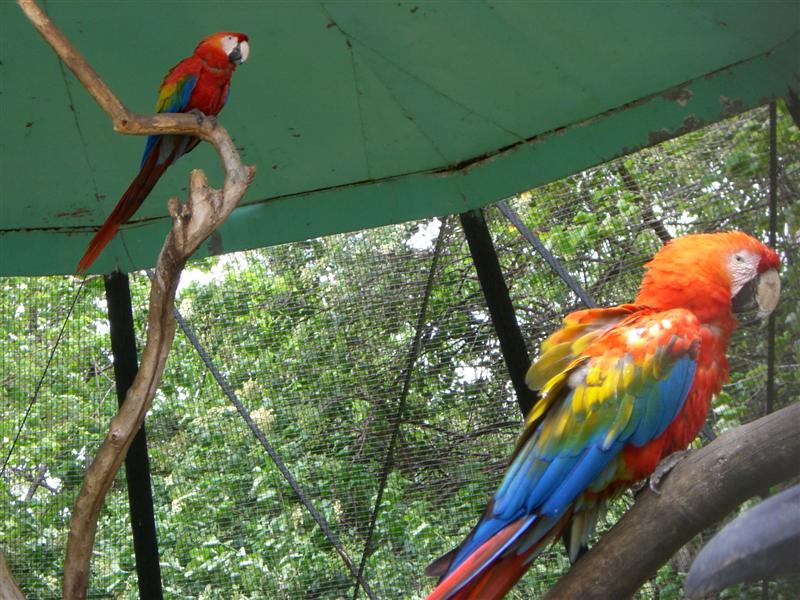 Foto de Valencia, Venezuela