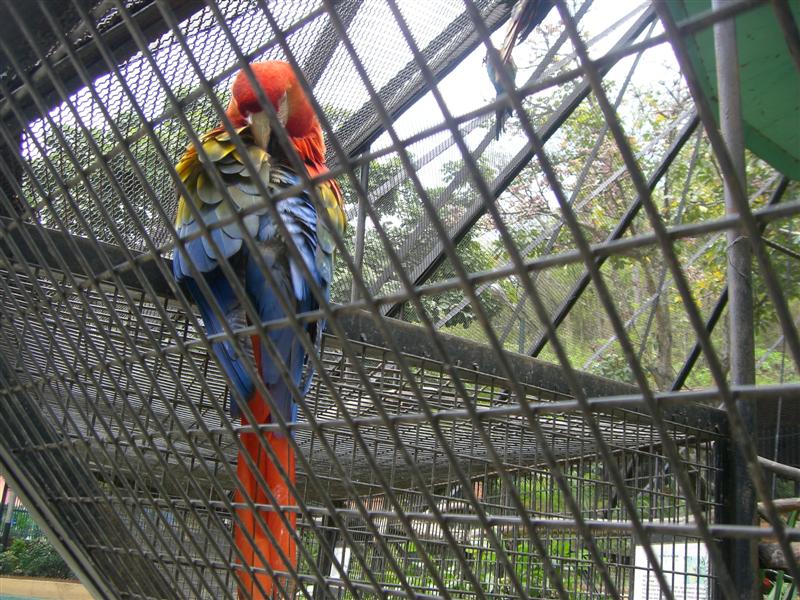 Foto de Valencia, Venezuela