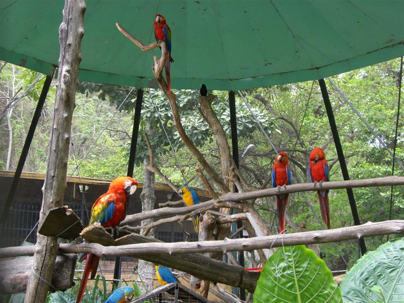 Foto de Valencia, Venezuela