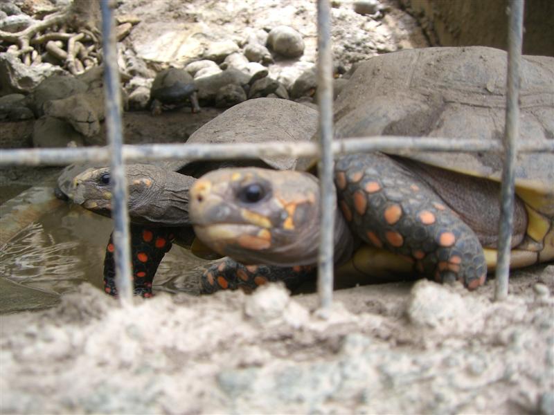 Foto de Valencia, Venezuela