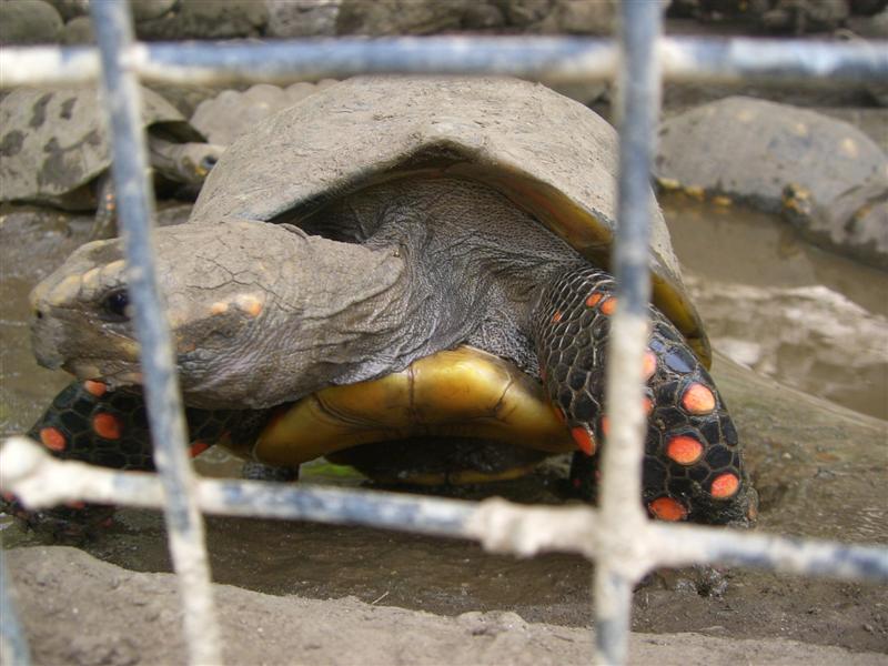 Foto de Valencia, Venezuela