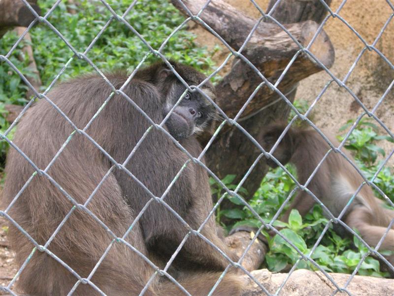 Foto de Valencia, Venezuela