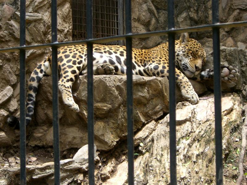 Foto de Valencia, Venezuela