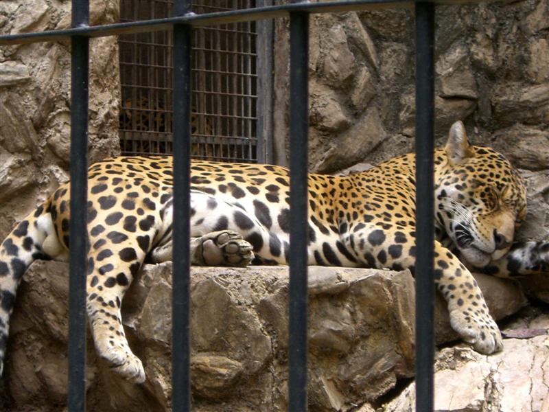 Foto de Valencia, Venezuela