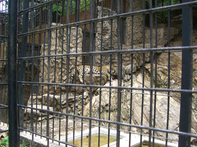 Foto de Valencia, Venezuela