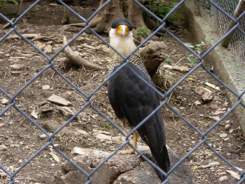 Foto de Valencia, Venezuela