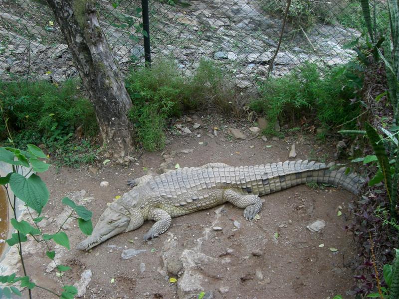 Foto de Valencia, Venezuela