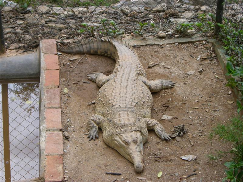 Foto de Valencia, Venezuela