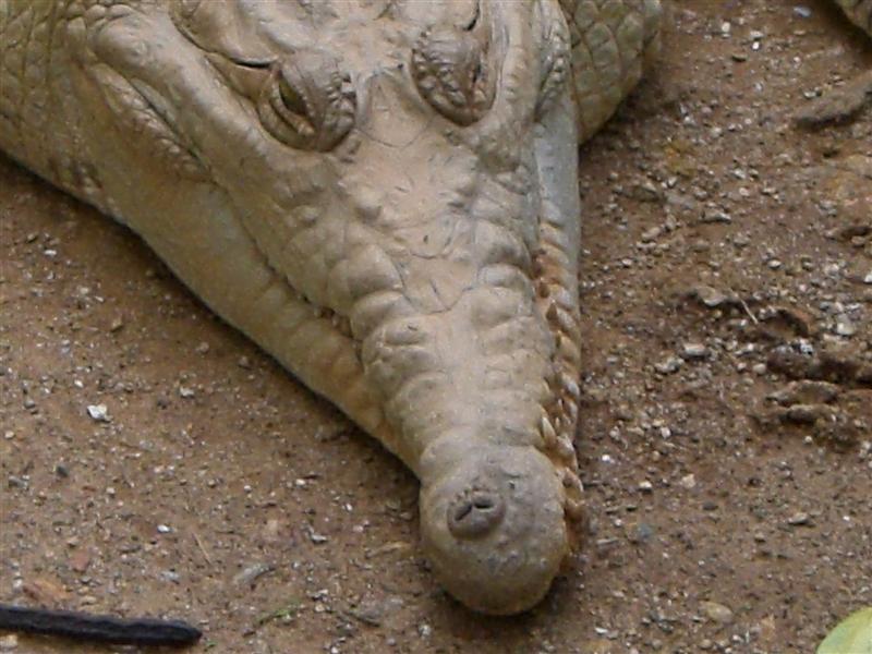 Foto de Valencia, Venezuela