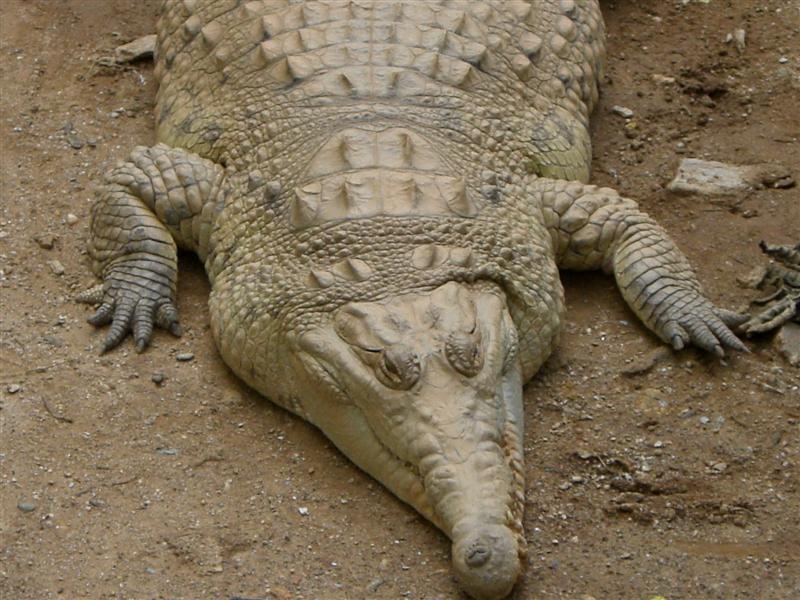 Foto de Valencia, Venezuela