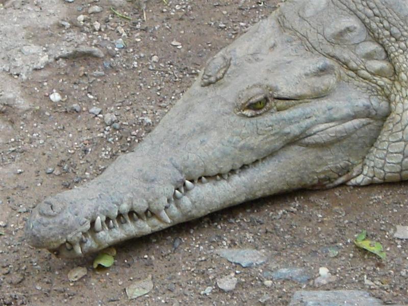 Foto de Valencia, Venezuela