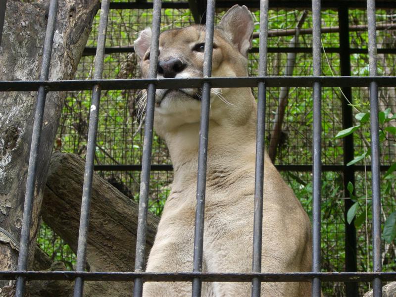 Foto de Valencia, Venezuela
