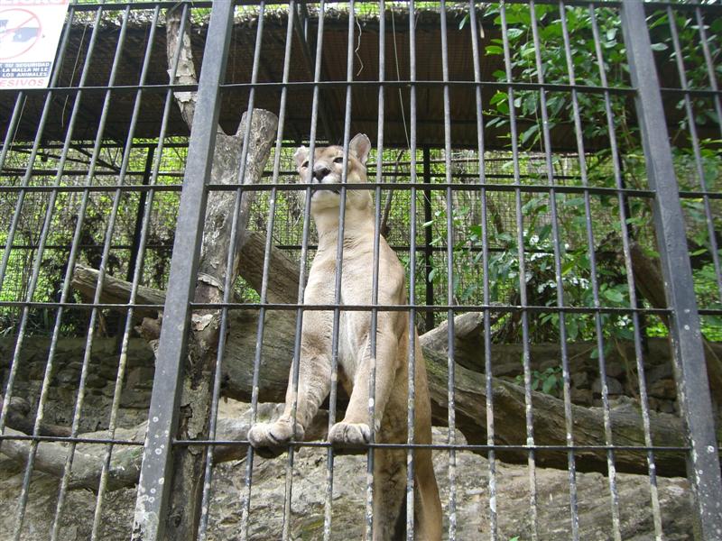 Foto de Valencia, Venezuela