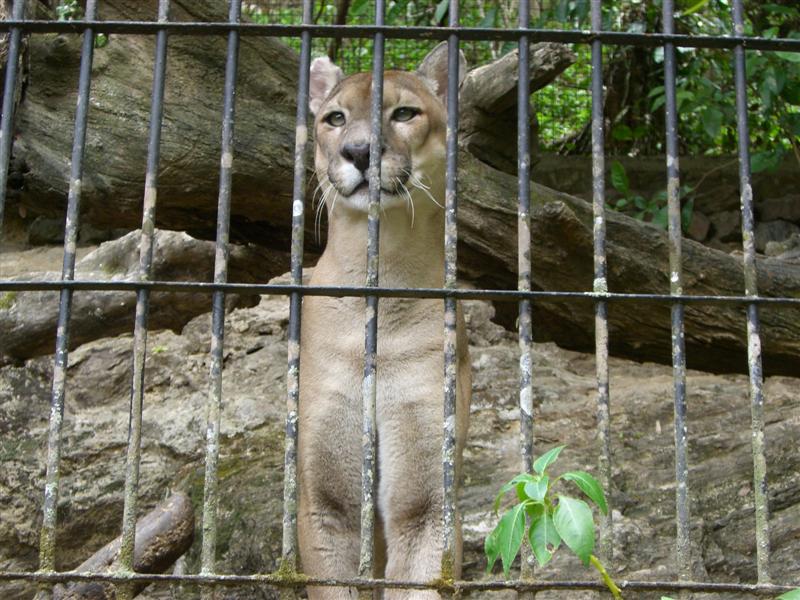 Foto de Valencia, Venezuela