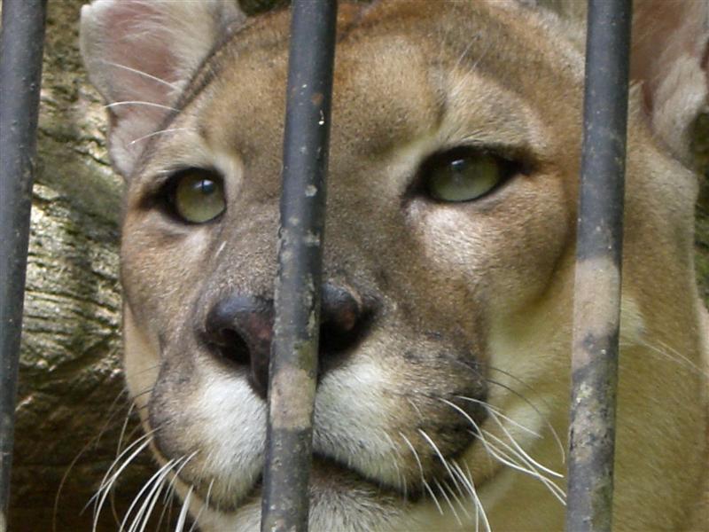 Foto de Valencia, Venezuela