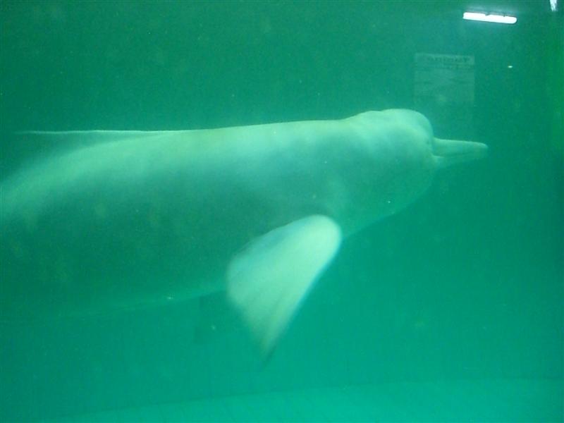 Foto de Valencia, Venezuela