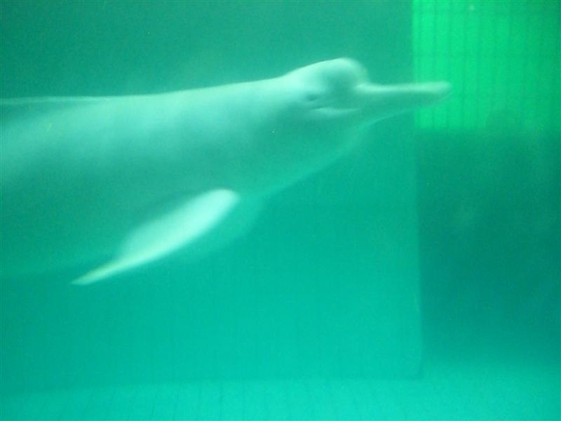 Foto de Valencia, Venezuela