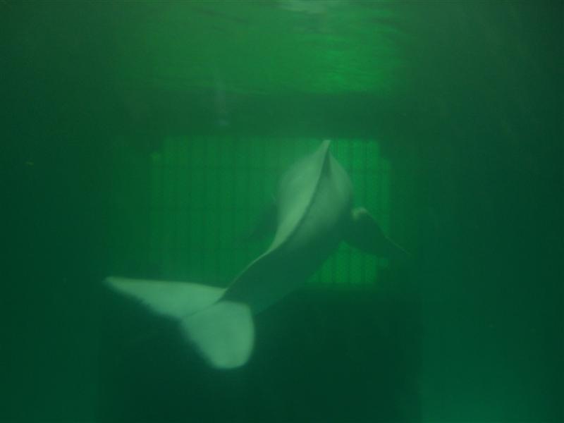 Foto de Valencia, Venezuela