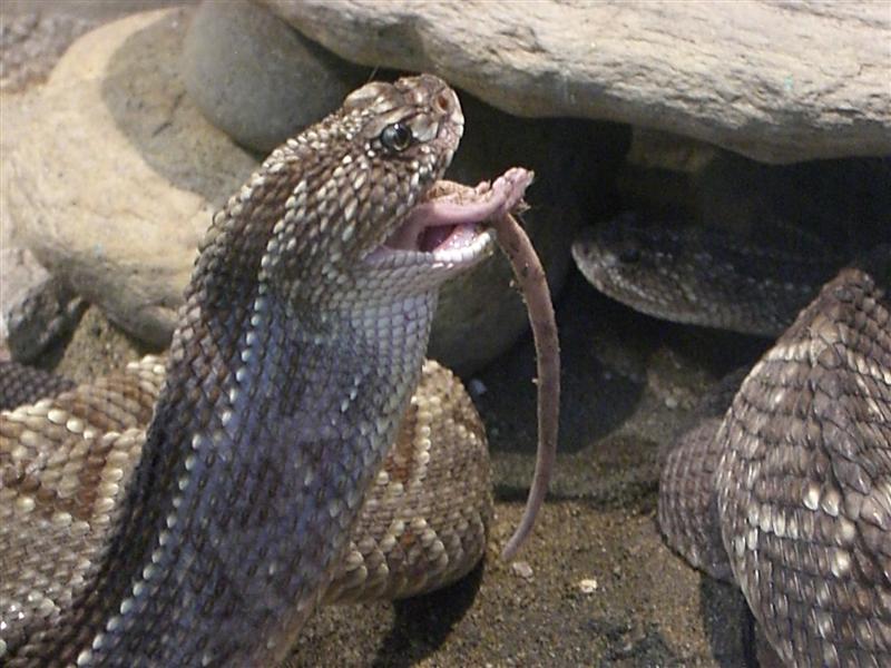 Foto de Valencia, Venezuela