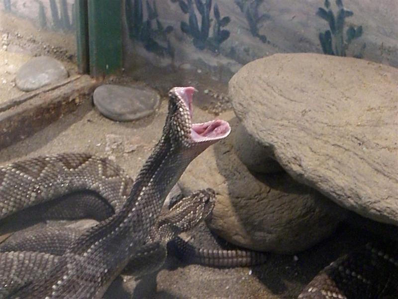 Foto de Valencia, Venezuela