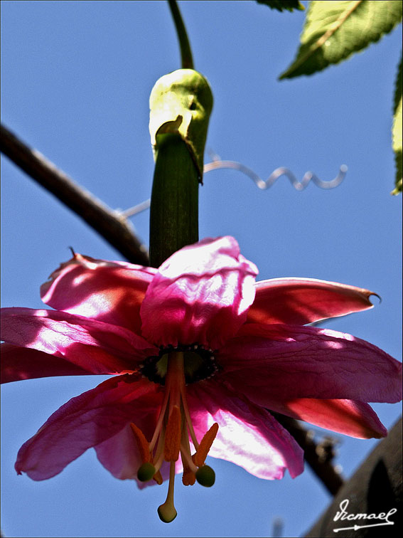 Foto de Arequipa, Perú