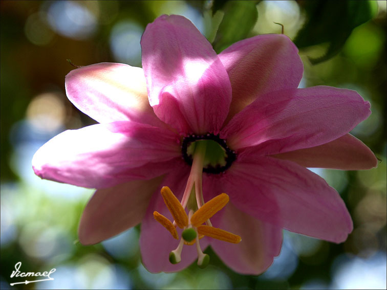 Foto de Arequipa, Perú