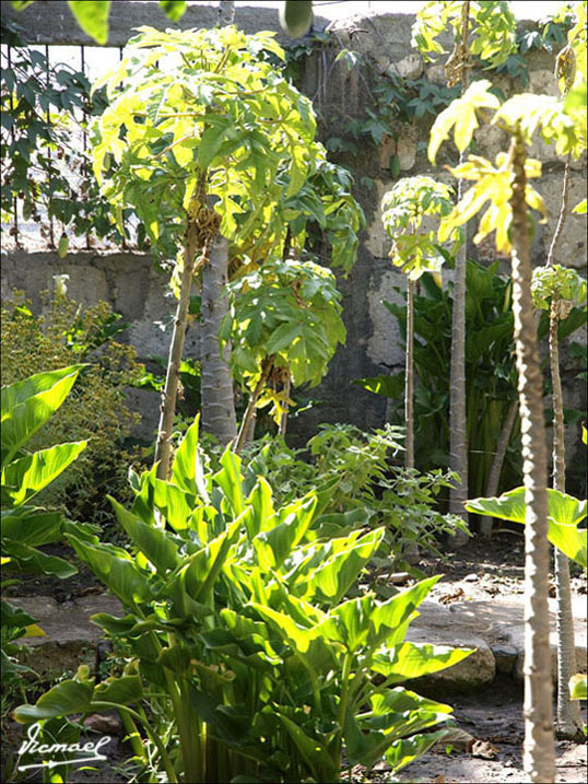 Foto de Arequipa, Perú