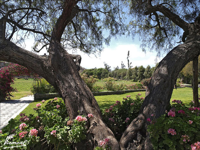Foto de Arequipa, Perú