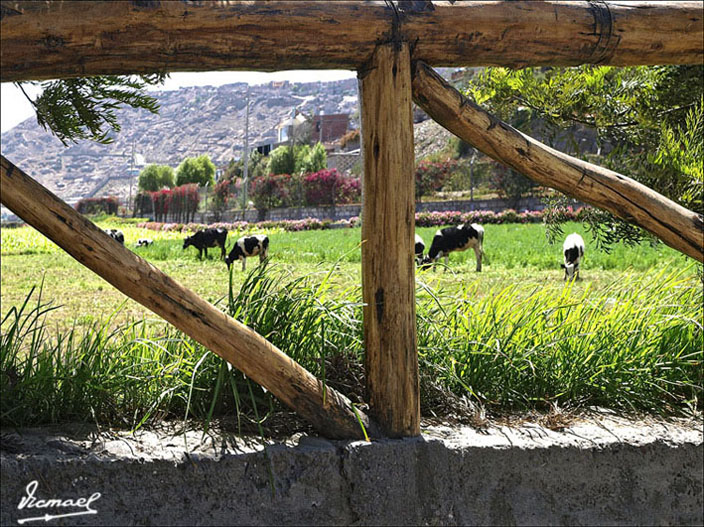 Foto de Arequipa, Perú