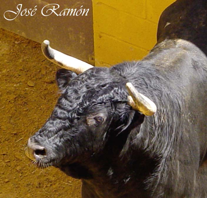 Foto de Cádiz (Andalucía), España