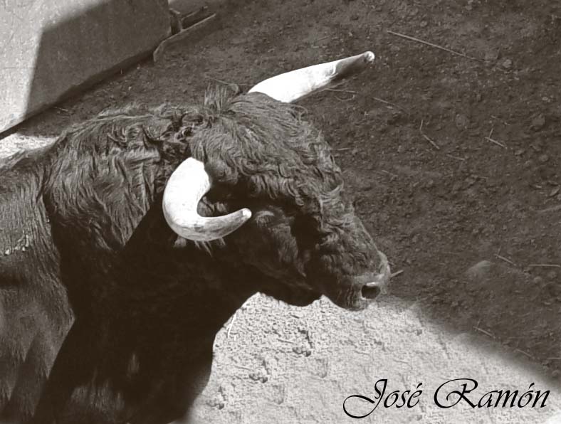 Foto de Cádiz (Andalucía), España