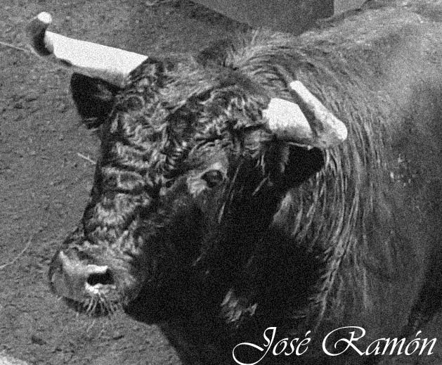 Foto de Cádiz (Andalucía), España