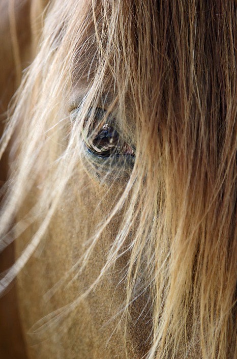 Foto de Tavèrnoles (Barcelona), España