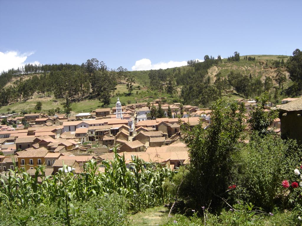 Foto de Totora, Bolivia