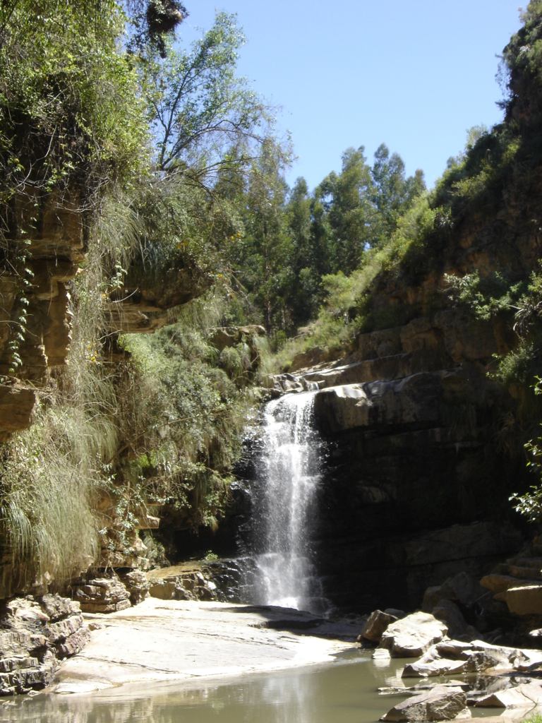 Foto de Totora, Bolivia