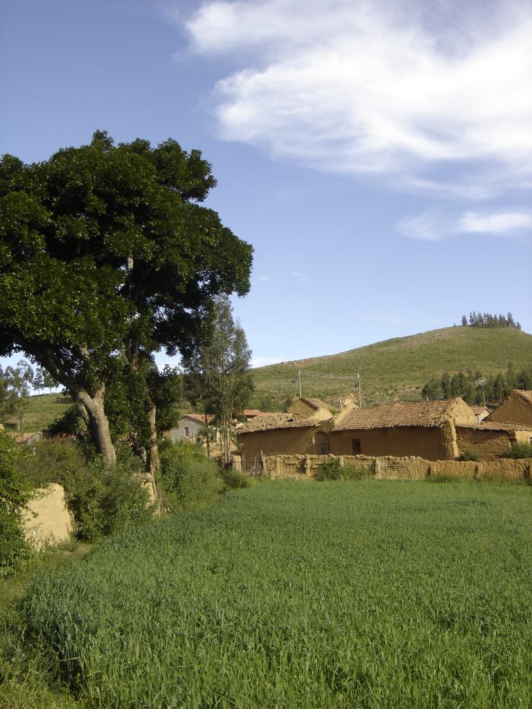 Foto de Totora, Bolivia