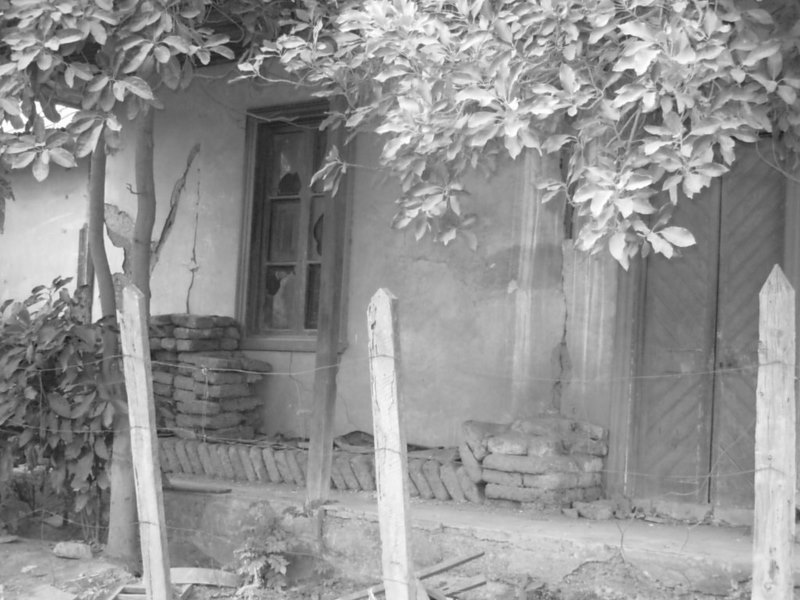 Foto de Llay Llay, Chile