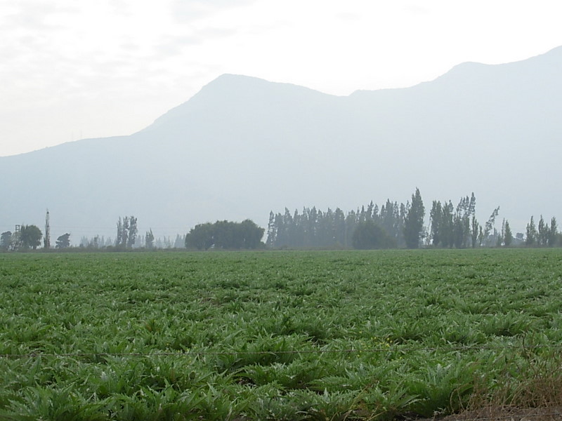 Foto de Llay Llay, Chile