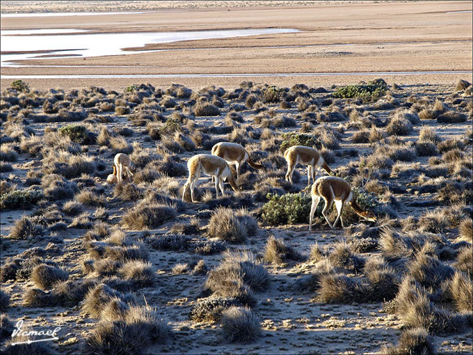 Foto de Arequipa, Perú