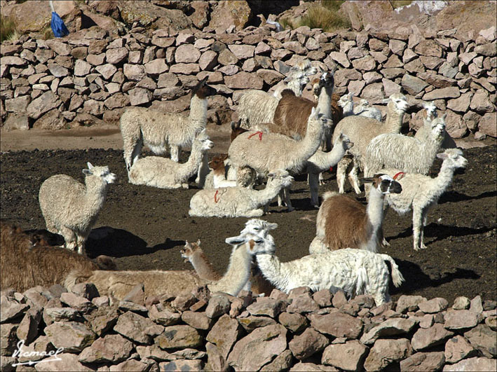 Foto de Arequipa, Perú