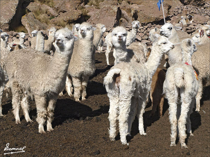 Foto de Arequipa, Perú