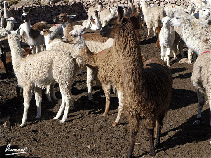 Foto de Arequipa, Perú